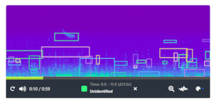 DOC AI Cam: audio bird monitoring