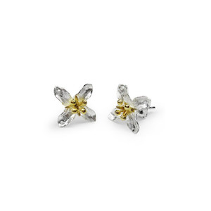 MARY'S STAR EARRINGS 925.co.nz