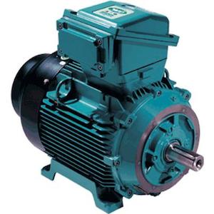 Electric Motor: Brook Crompton EXD/E