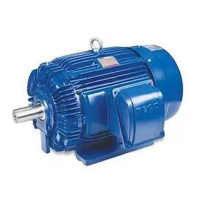 Electric Motor: TECO Electric Motors