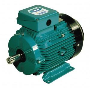 Motors: Global Electric Motors