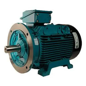 Motors: Brook Crompton W Series