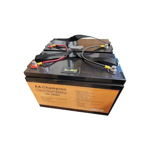 Electrical: AA Champion Lithium Smart Battery with BMS