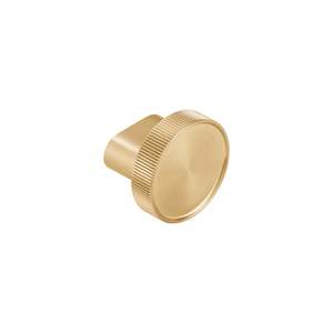 Namika Robe Hook/Cabinetry Knob - Brushed Brass