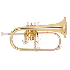 Musical instrument: NZWinds WFG-100 Flugel Horn