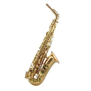 Musical instrument: Trevor James Alto Sax SR gold lacquer