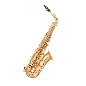 Musical instrument: NZWinds WSA-100 Alto Saxophone