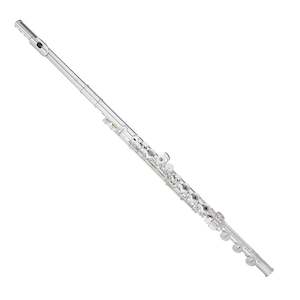 Musical instrument: Trevor James Cantabile Flute 31CF