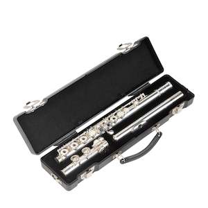 SKB Flute Hard Case