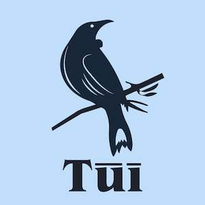 TŪĪ