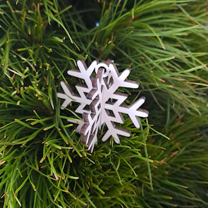 Snowflake decoration Abstract Design