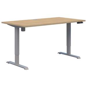 Rapid Electric Desk