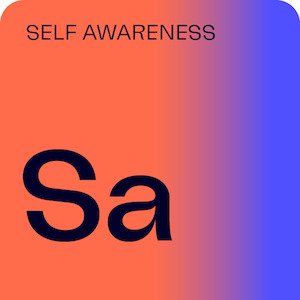 Workshop - Self-Awareness - Accipio