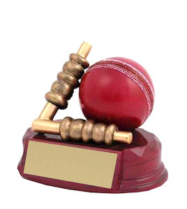 Cricket Ball & Bails Ace Engravers