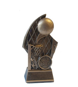 Netball Dundee Award Ace Engravers