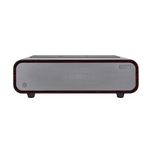 Peachtree Audio GaN400 - Power Amplifier