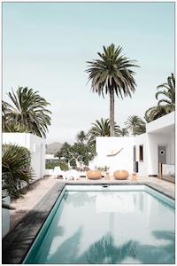 Palm Springs Print