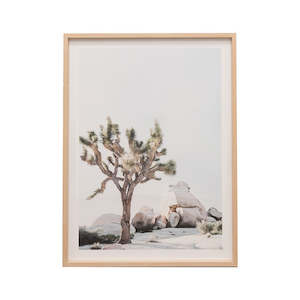 Wall Art: Photographic Framed California Desert