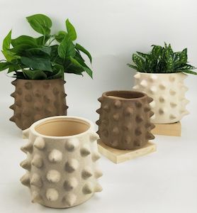 Isaac Spike Planter