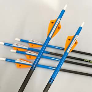 Victory VAP Junior Target Arrow - Pre Made