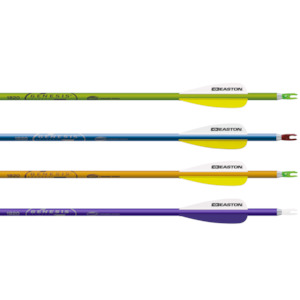 Sporting equipment: Easton Genesis 1820 Arrows