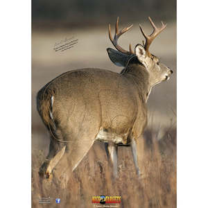 Sporting equipment: Nice Target Deer Quartering Away Right