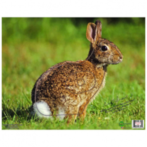 Sporting equipment: Nice Target Rabbit