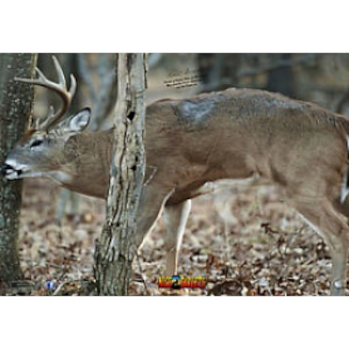 Sporting equipment: Nice Target Deer Front Tree Buck