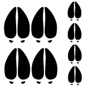 Sporting equipment: Decal Deer Tracks #9009