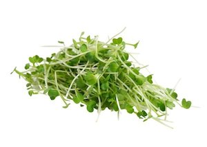 Products: Radish 100g – Advance Microgreen