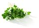 Green Broccoli 100g – Advance Microgreen