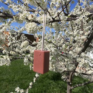 Vegan Australian Red Clay Soap On A Rope