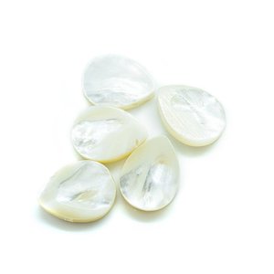 Large Natural Shell Drop 16mm x 12mm x 3-4mm