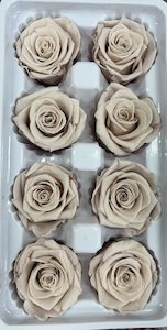 Florist: Preserved Rose Box of 8  Manta