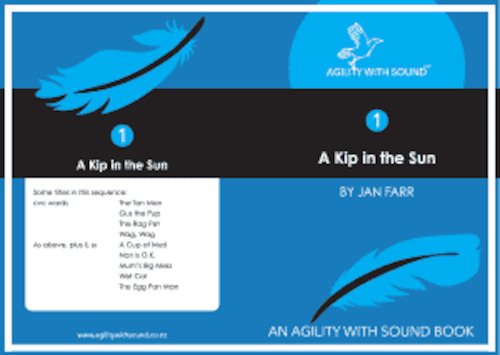 Educational support services: Book 1-11 ‘A Kip in the Sun’