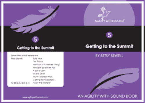 Book 5-20 ‘Getting to the Summit’