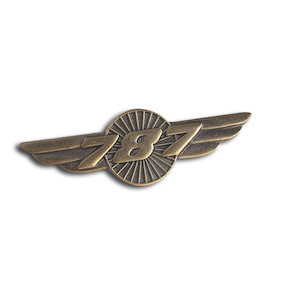 Boeing 787 Wings Pin