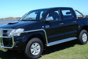 T877 Double Cab Sidebars & Steps (05-12 model)