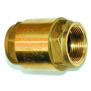 Brass Spring Check Valve