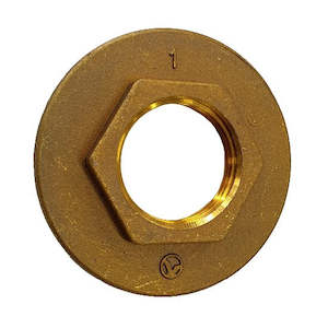 Brass Wide Flanged Back Nut