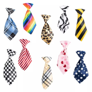 ShowTech Assorted Ties - 10 Pack