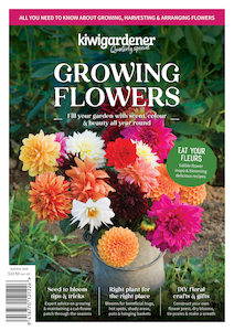 Kiwi Gardener Quarterly - Growing Flowers