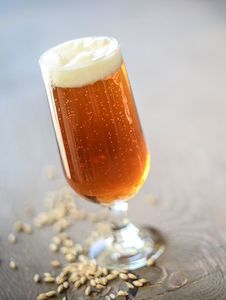 ATF Vienna Lager - Grainfather | Brewzilla | Guten 40