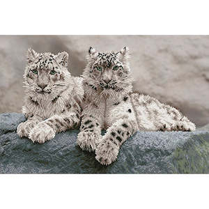 Diamond Dotz - Snow Leopards