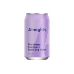 Soft drink wholesaling: Blackberry Raspberry Sparkling Water 24 x 330ml