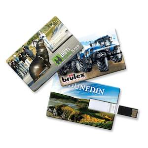 Bespoke Corporate Gifts: Credit Card USB 2GB Flash Drive