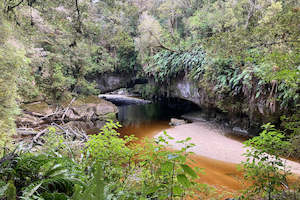 Wild West Coast Tour - Karamea