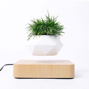 Floating Plant Novelty Levitating Rotation Flowerpot