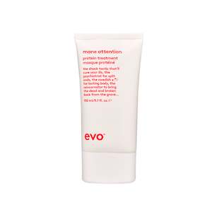 EVO Mane attention protein treatment