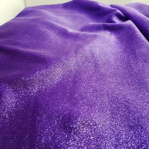 Purple Glitter Velvet